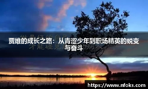 贾维的成长之路：从青涩少年到职场精英的蜕变与奋斗